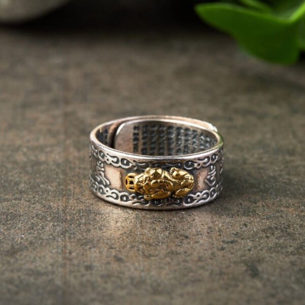 Feng Shui Pixiu Mantra Ring - Wealth & Protection - Image 6